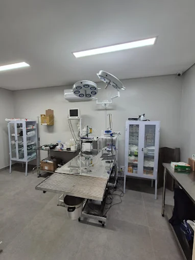Atendimento Cirúrgico em Bady Bassitt